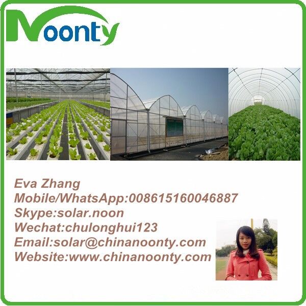 Noonty Greenhouse Company Limited