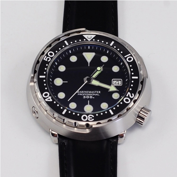 Stainless Steel Dive Watch