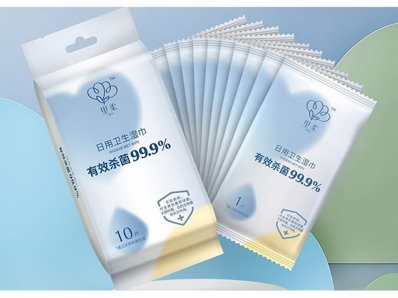 Disinfecting Wet Wipes (1 PC)