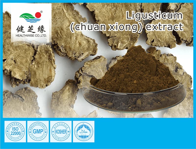 Ligusticum Chuanxiong Root Extract
