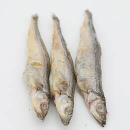 Freeze-Dried Pet Seafood Series