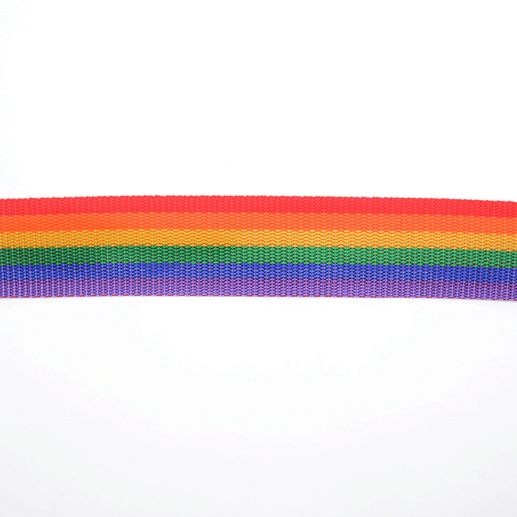 Rainbow Nylon Webbing