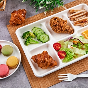 Compostable Lunch Trays