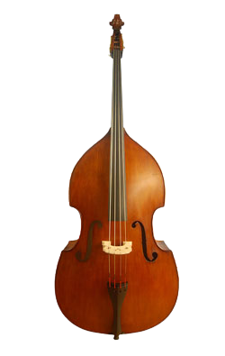 Kinglos Double Bass
