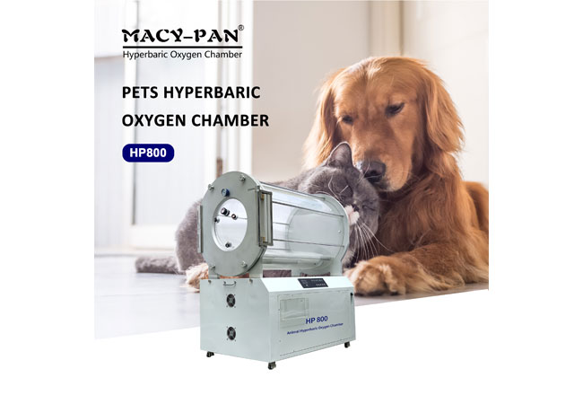 Unique Design Vertical/Veterinary Hyperbaric Oxygen Chamber HP600 (SIZE: 80*70cm)