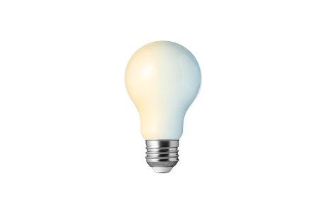 Type A Standard Bulb