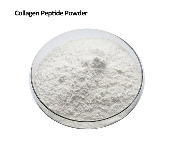 Porcine Collagen Peptide