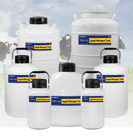 10-литровый резервуар для спермы YDS-10 контейнер с жидким азотом цена