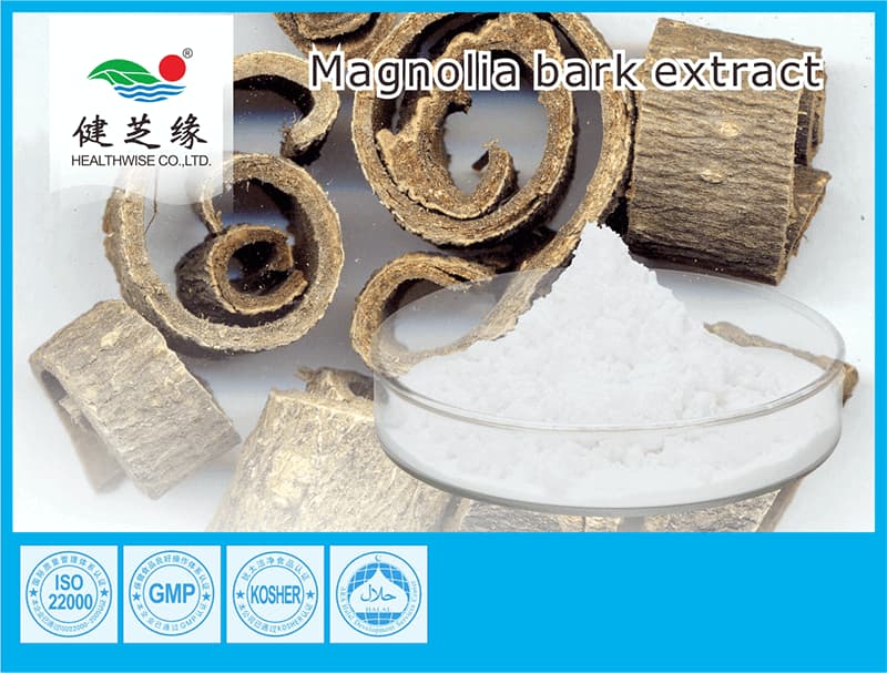 Wholesale Magnolia Bark Extract Powder