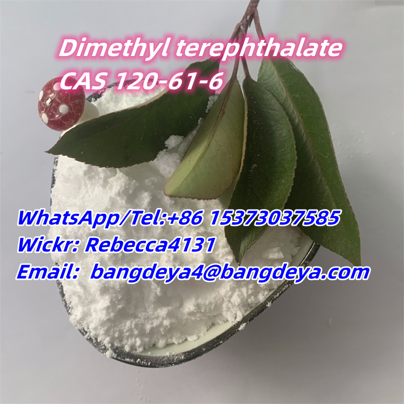 Dimethyl terephthalate CAS 120-61-6