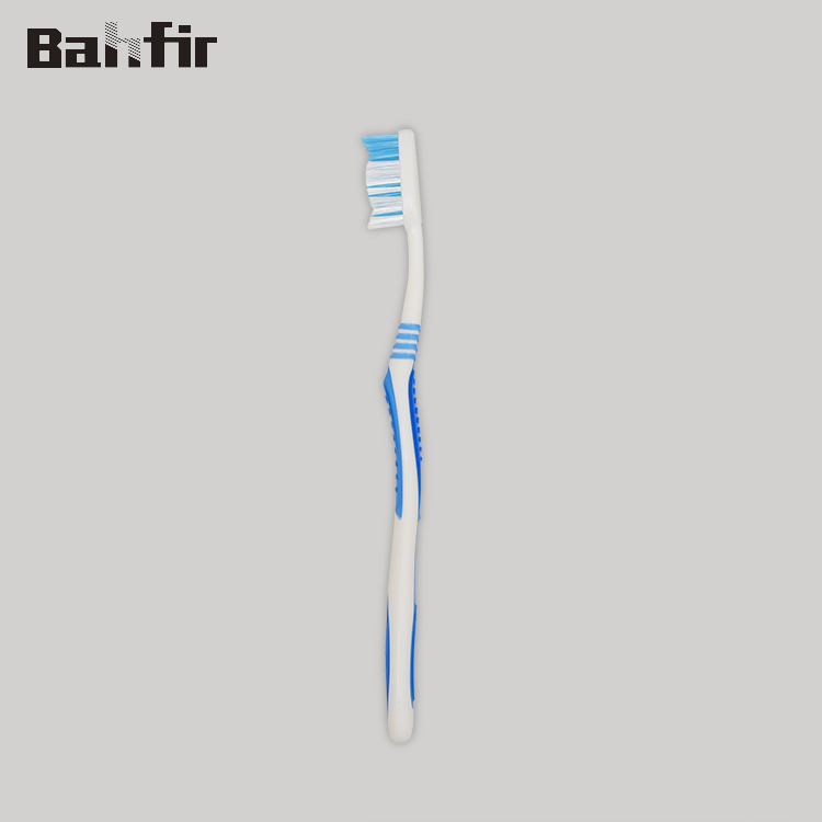 New Design Teeth Cleaning Toothbrush Toothbrushes with Fresh Color