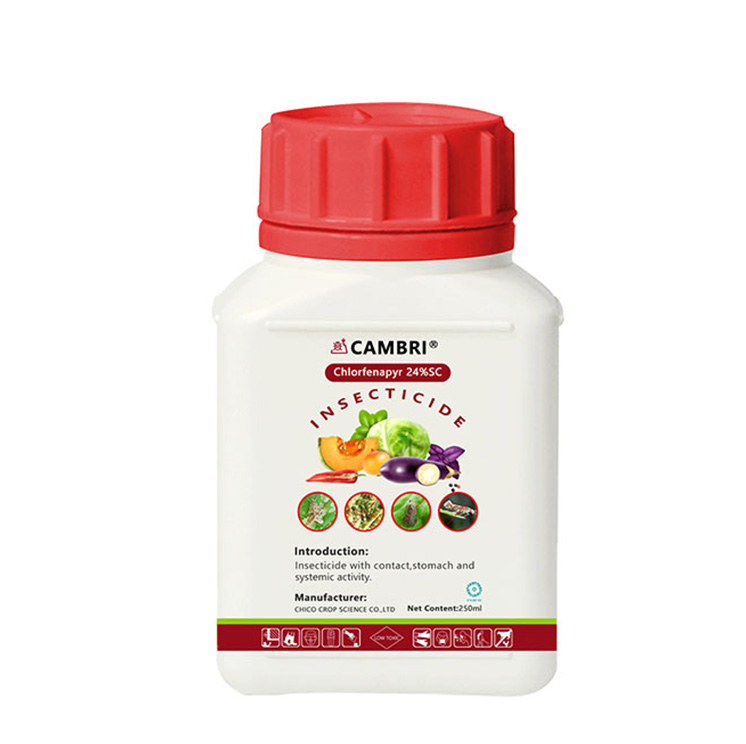 CAMBRI® Chlorfenapyr 24%SC Insecticide
