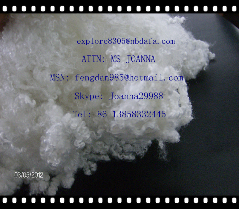 sell hollow conjugated polyester pet staple fiber