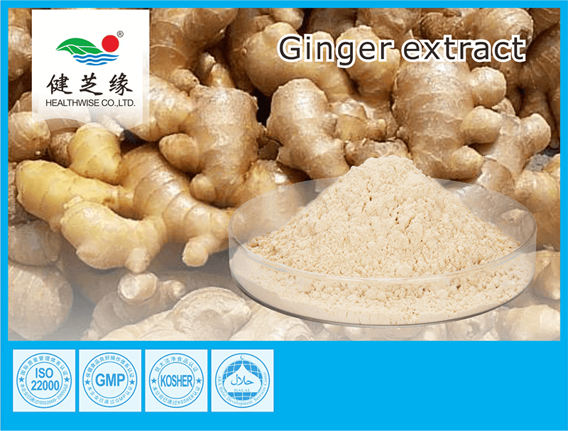 Cas 84696-15-1 Ginger Root Extract Powder