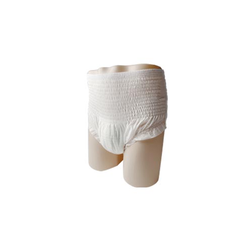 Eco-Friendly Disposable Menstrual Pants