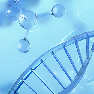 Transcriptome+Metabolome