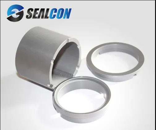 SiC Mechanical Seal