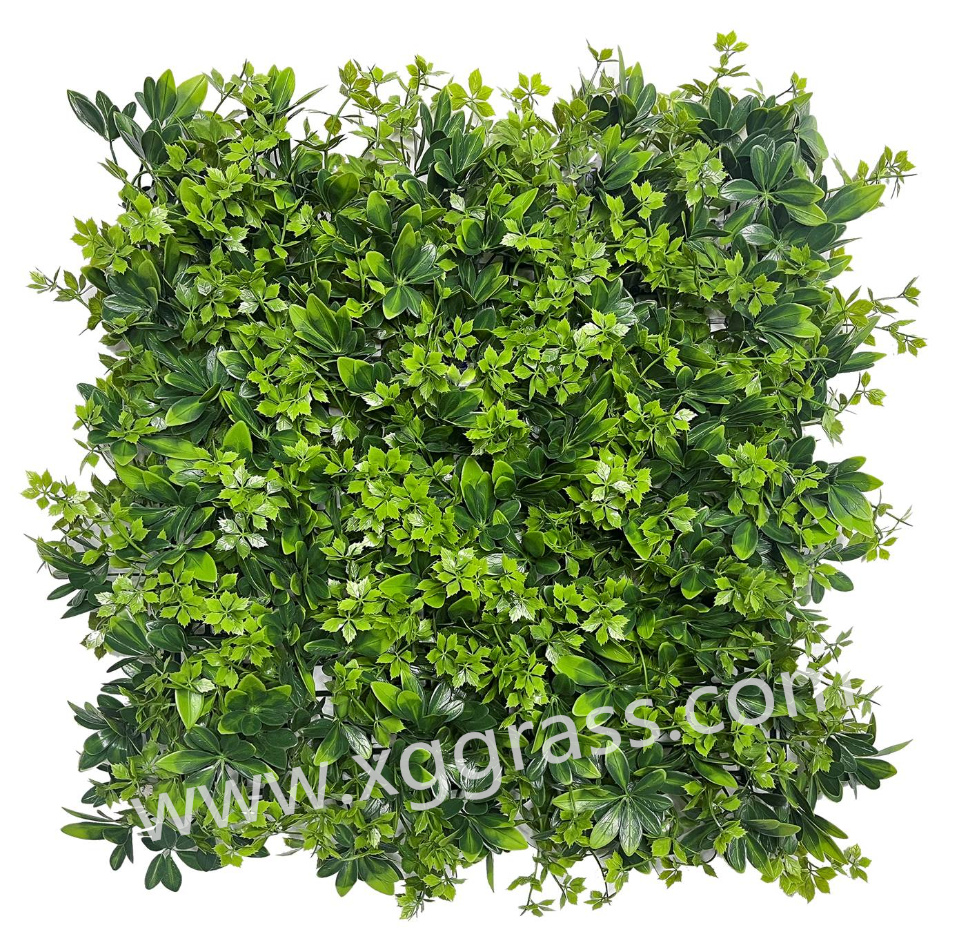 Artificial wall grass XGG606131B