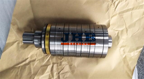 F-81395.T3AR Thrust cylindrical roller bearing with shaft