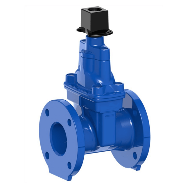 EN 1074 Resilient Seated Gate Valve