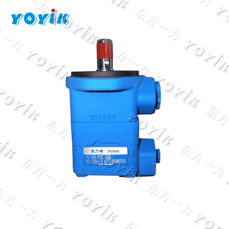 Yoyik supply Pump, hydrulic F3-V10-IS6S-IC-20 for Electric Company i