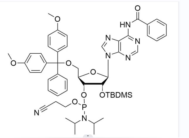 2'-TBDMS-rA(Bz) Phosphoramidite CAS NO.  Wholesale