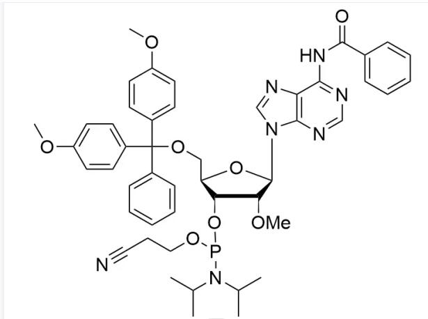 2'-OMe-rA(Bz) Phosphoramidite CAS NO.  Wholesale
