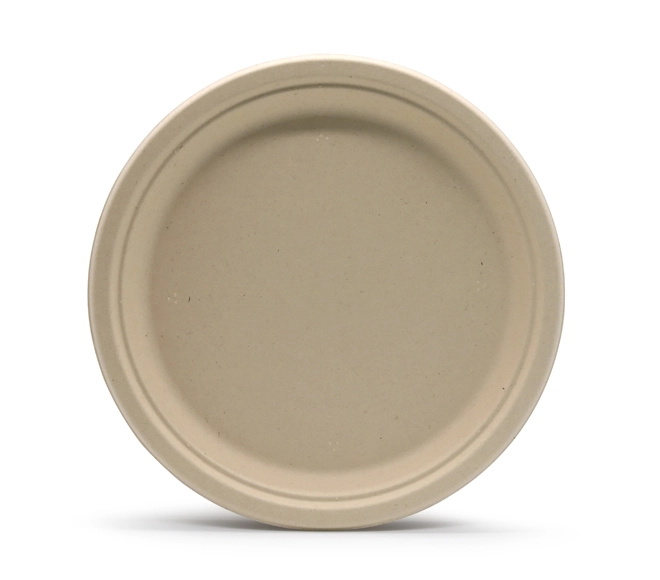 10 inch Bagasse Disposable Plate 