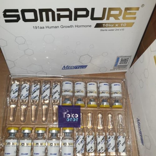 Gh injector. Somatropin 191aa 15iu купить в Москве. GERTHTROPIN.