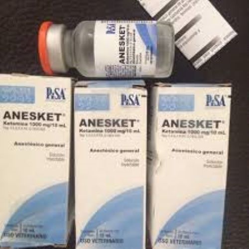 Anesket 1000mg/10ml Injection