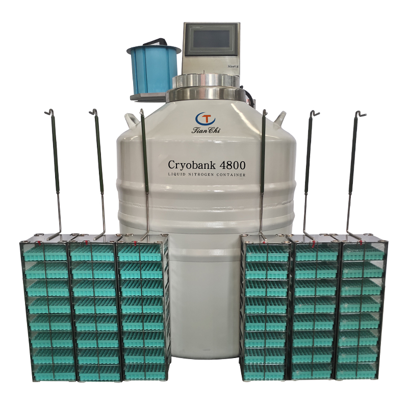 Small vapor phase liquid nitrogen freezer liquid nitrogen biological container KGSQ