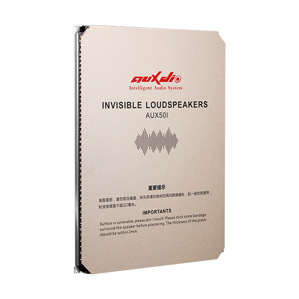 Invisible Speaker
