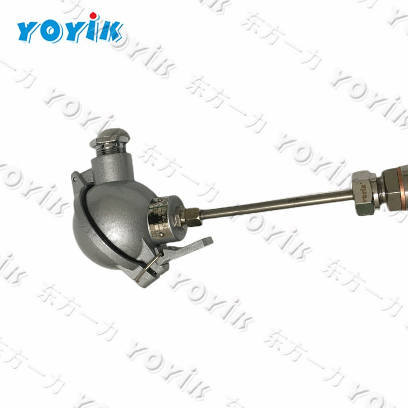 China manufacturer RTD temperature probe WZP2-231 for power generation
