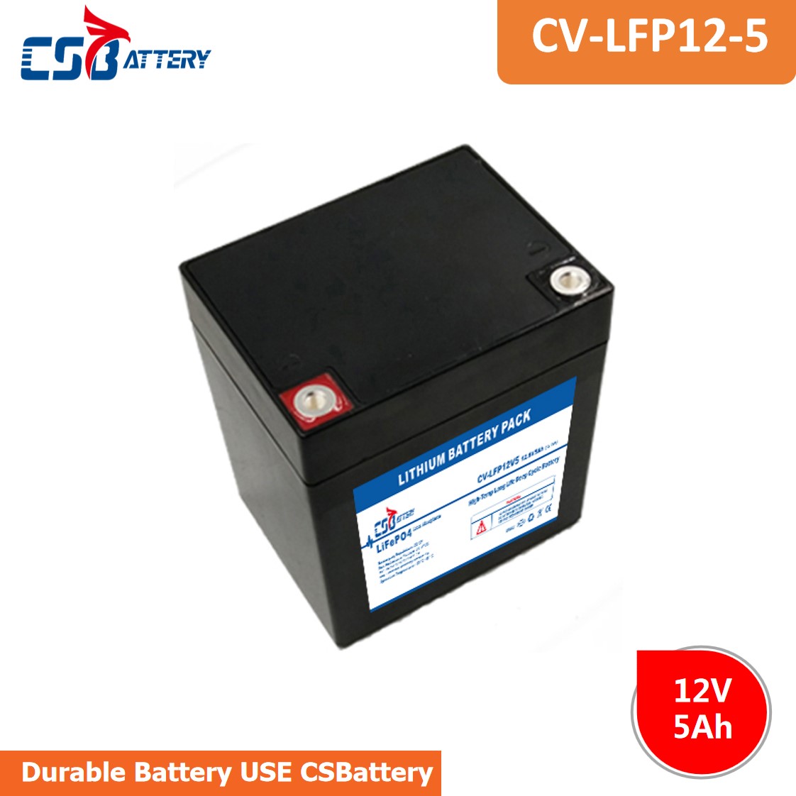 Lithium Iron Phosphate (LiFePO4) Batteries