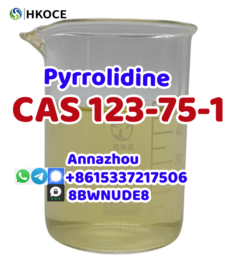 Cas 123-75-1 Pyrrolidine with Factory Price 