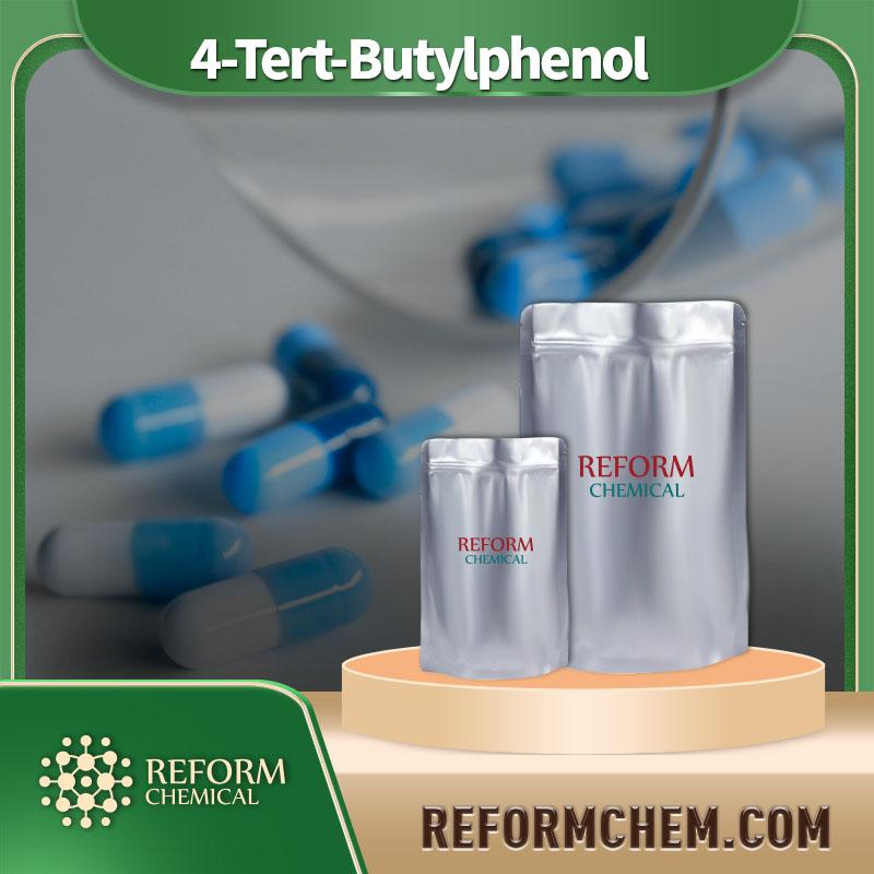 4-Tert-Butylphenol CAS No. 98-54-4 Wholesale & Bulk