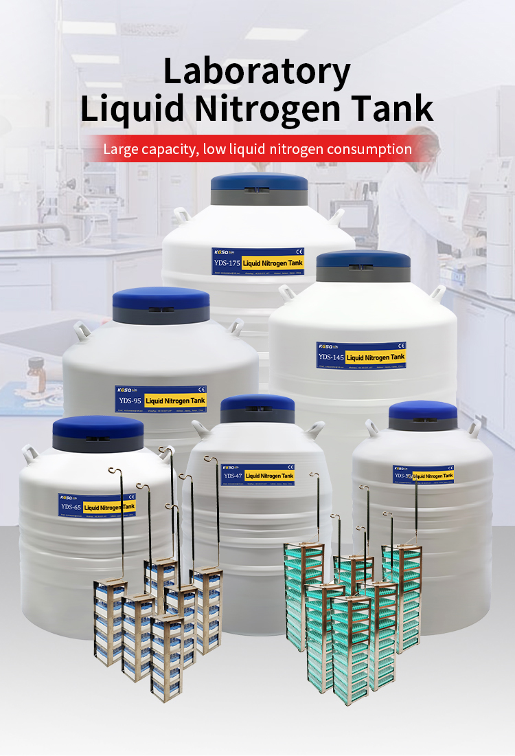  厄瓜多尔 YDS-175-216 细胞储存液氮容器 KGSQ 氮气罐