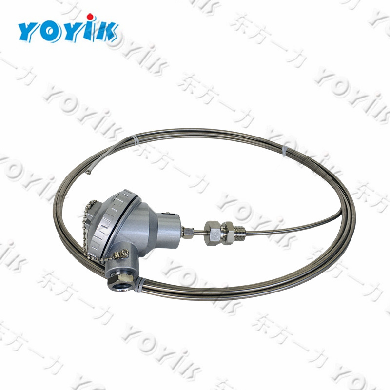 China supplier Thermocouple WRN2-630 power plant spare parts