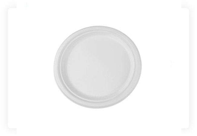 DISPOSABLE FOOD PLATE
