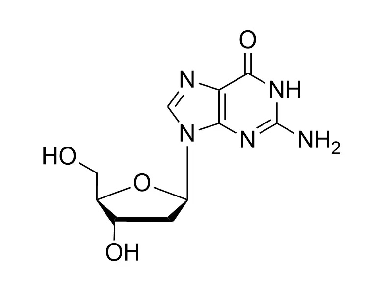 2'-Deoxyguanosine CAS No. 961-07-9 Wholesale