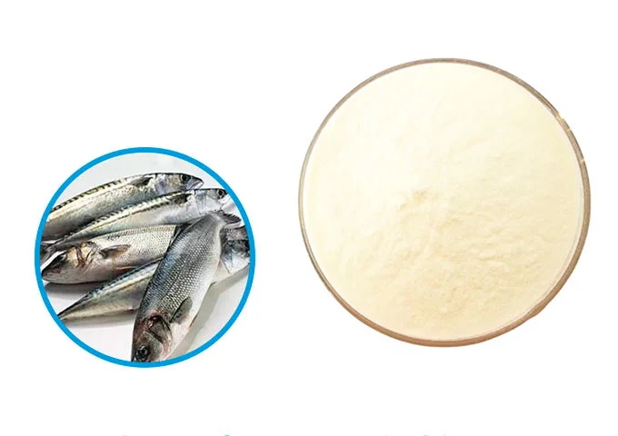 Marine Fish Collagen Peptides Powder Supplier
