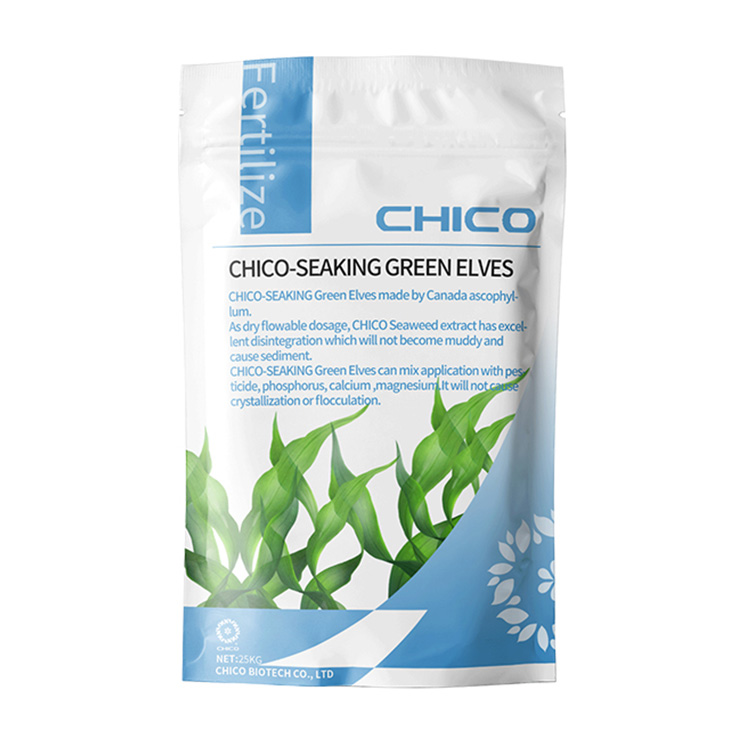 CHICO SEAKING® Green Elves Seaweed Fertilizer Powder Organic Fertilizer