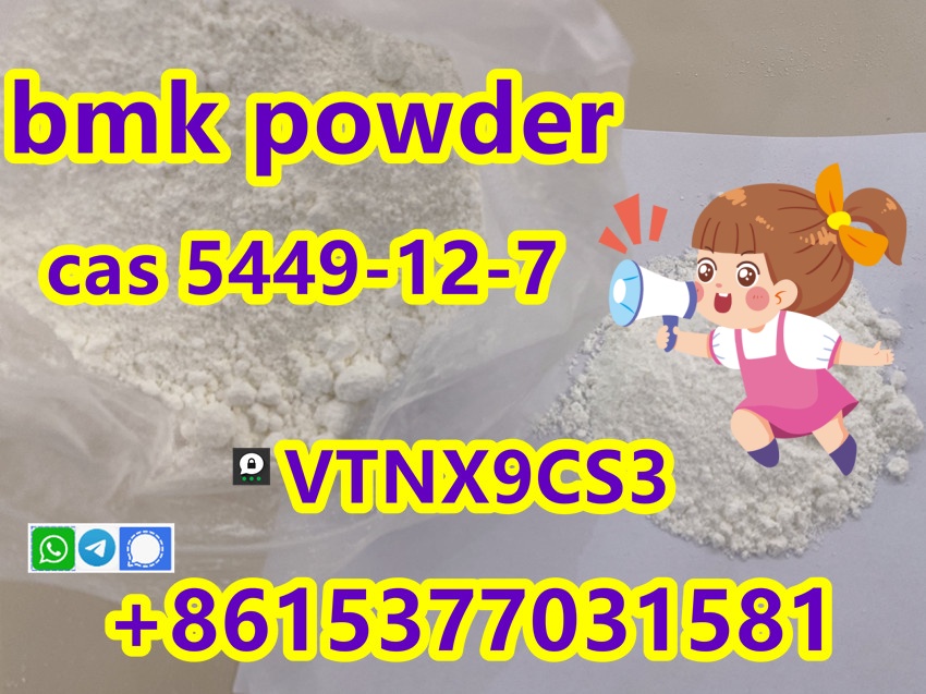 BMK methyl glycidate Cas 5449-12-7/41232-97-7 bmk powder in warehouse