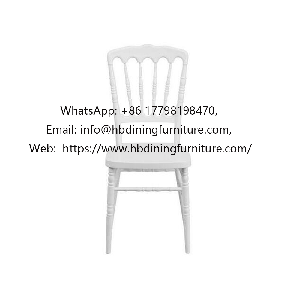 Plastic roman leg dining chair