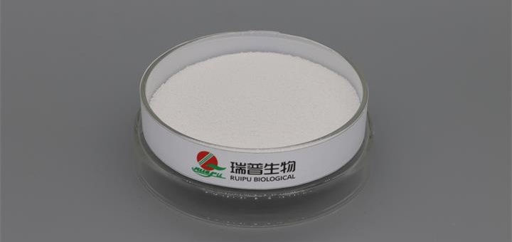 High-quality Magnesium Citrate Granules