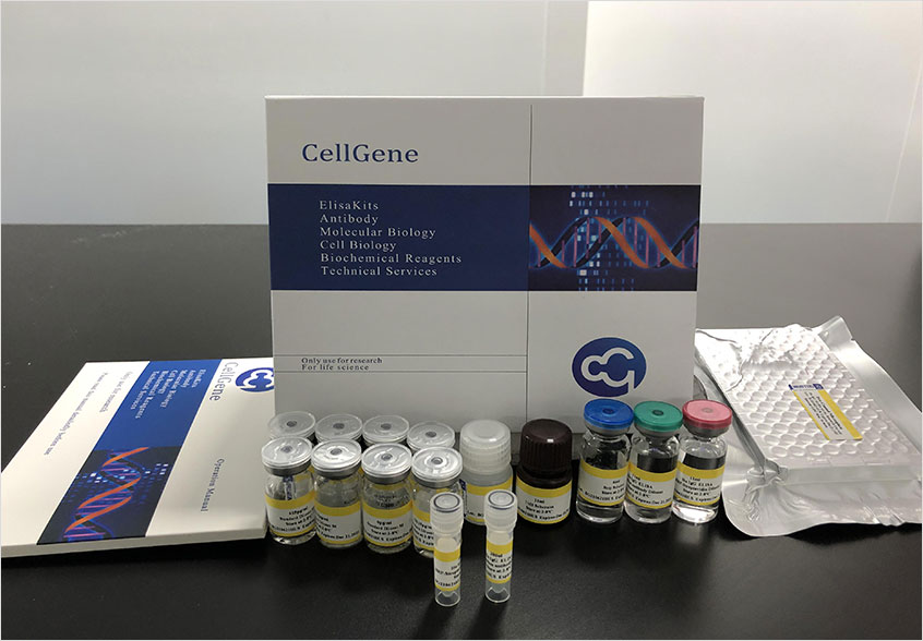 Human Angiopoietin 2 ELISA kit