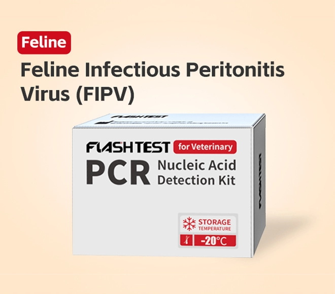 Feline Infectious Peritonitis Virus (FIPV) Nucleic Acid Test Kit (Dry)