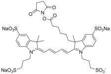 AF647 NHS Ester