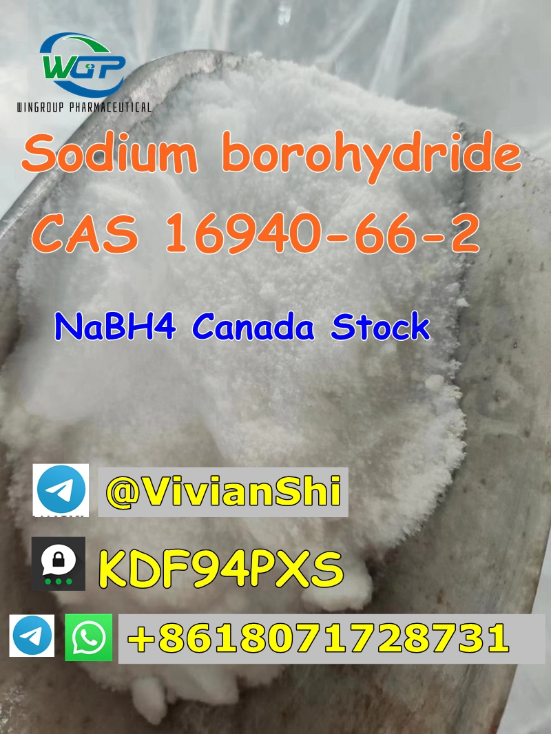 99% Purity NaBH4 Sodium borohydride CAS 16940-66-2 