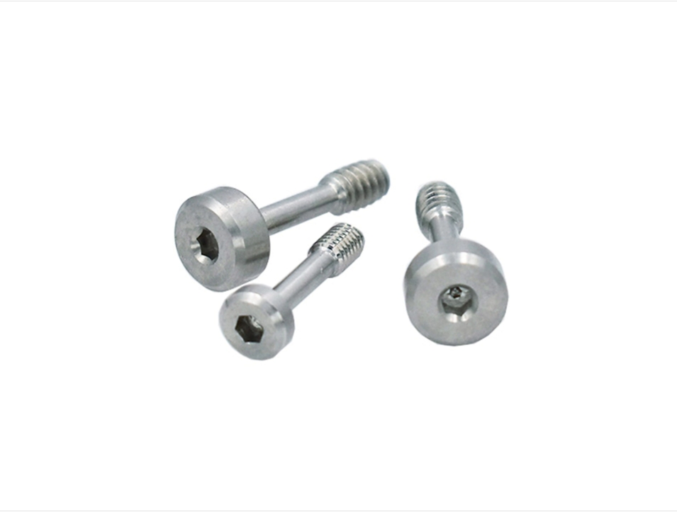 Stainless steel captive screw